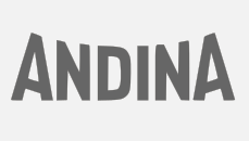 Andina